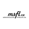 Моравскосилезская футбольная лига