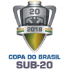 Бразилия Кубогы U20